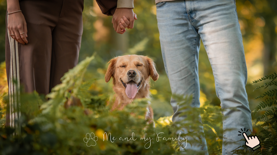 Wednys Fotografie