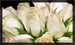 Van Tongeren Bloem-en Woondecorateurs — photo 3
