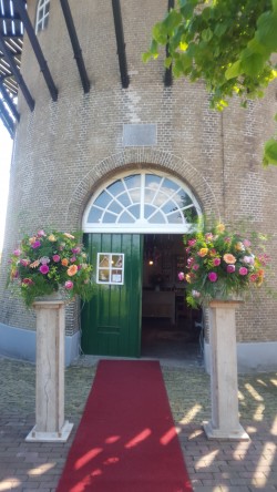 Nana Groen-Wonen — photo 5