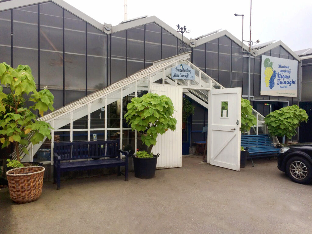 Druivenkwekerij Nieuw Tuinzight — photo 2
