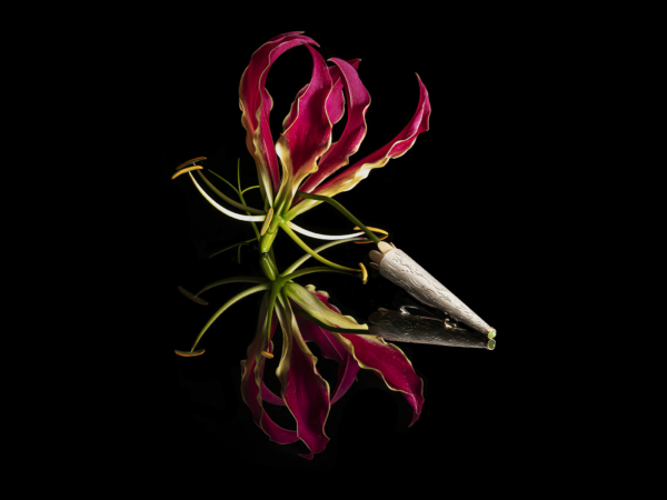 Paulien Schipper — photo 4