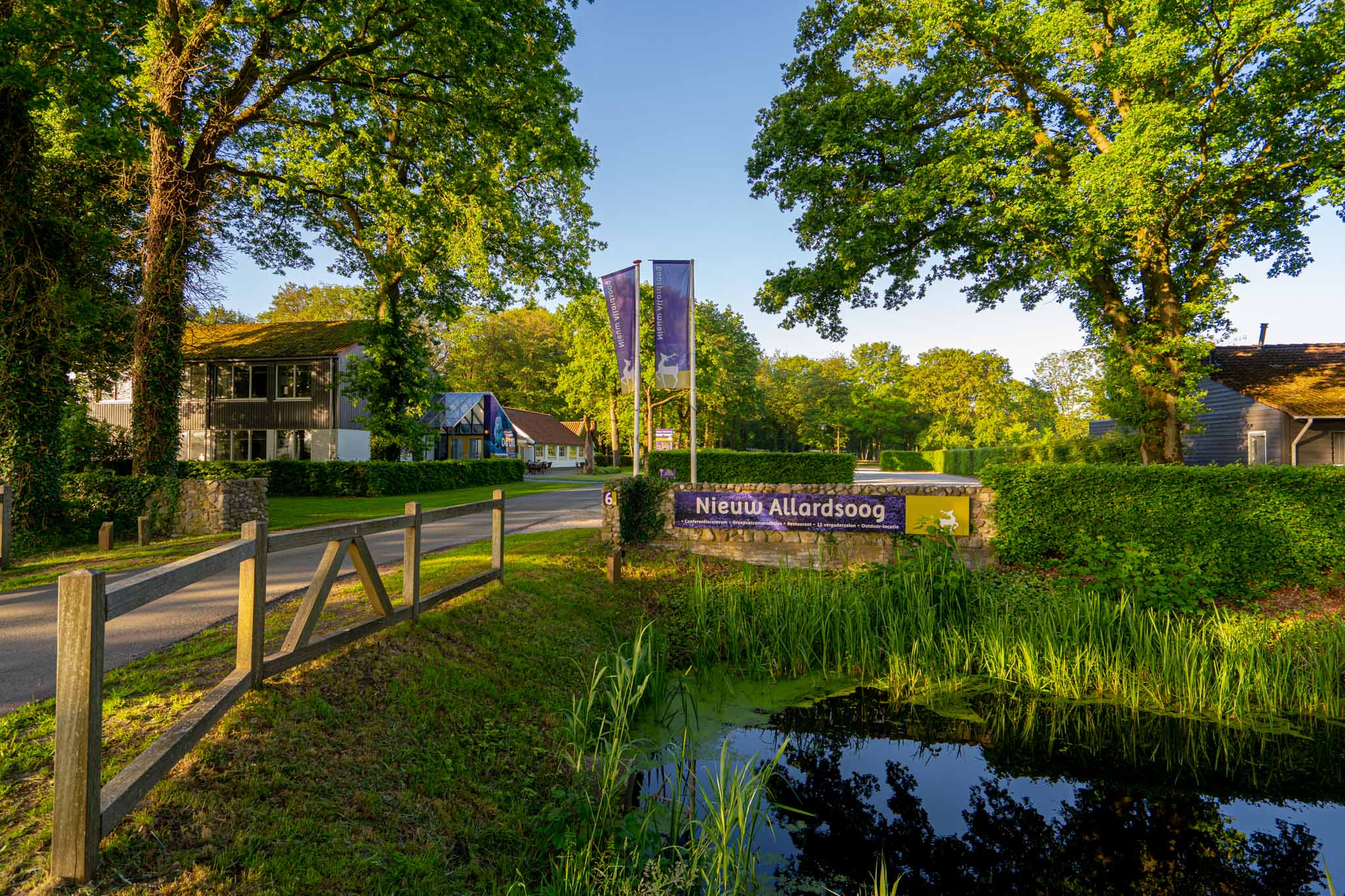 Nieuw Allardsoog — photo 2
