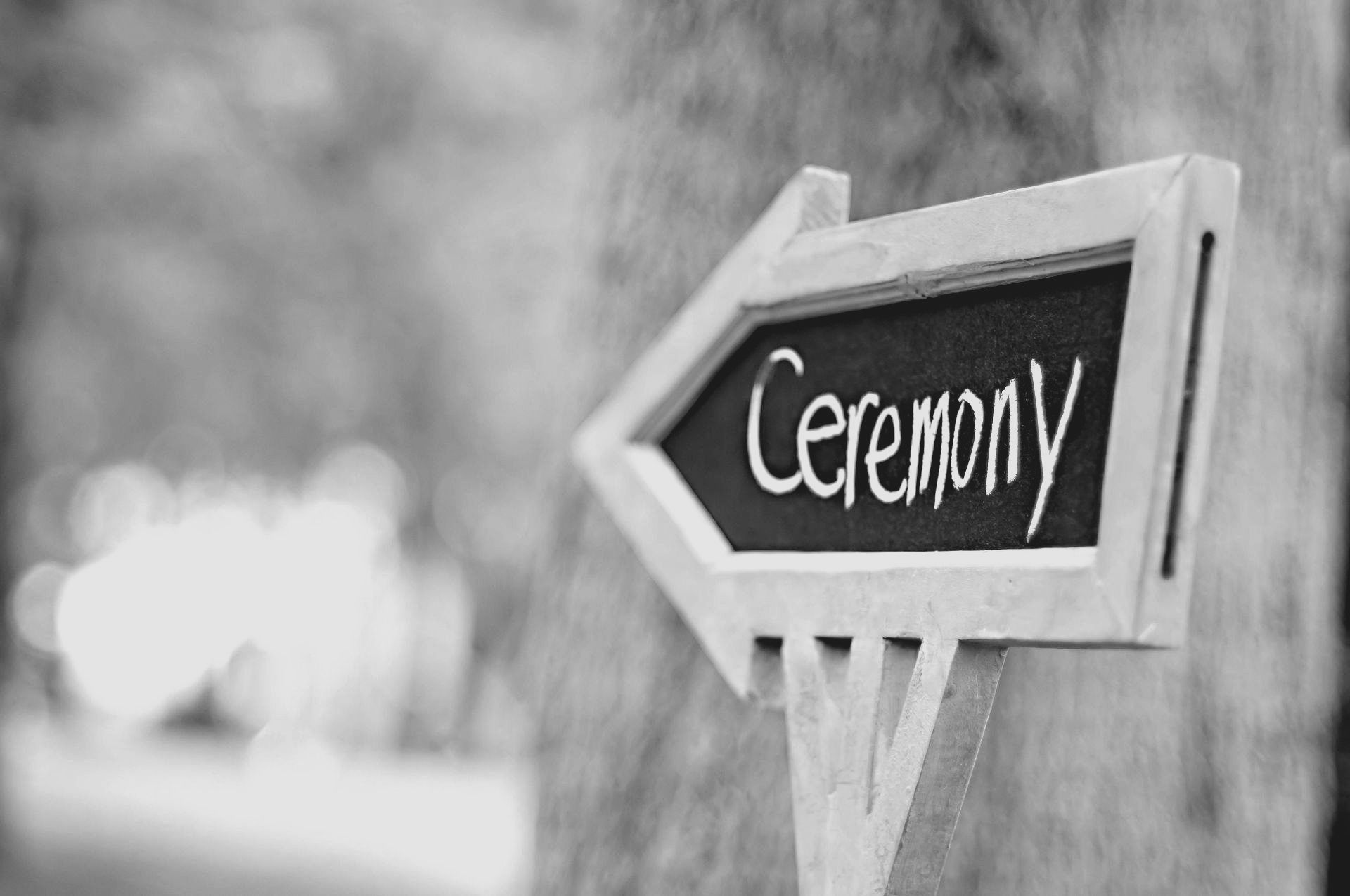 Let's do this. wedding — photo 5