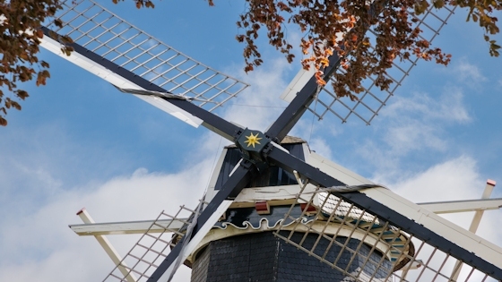 De Pelmolen — photo 2