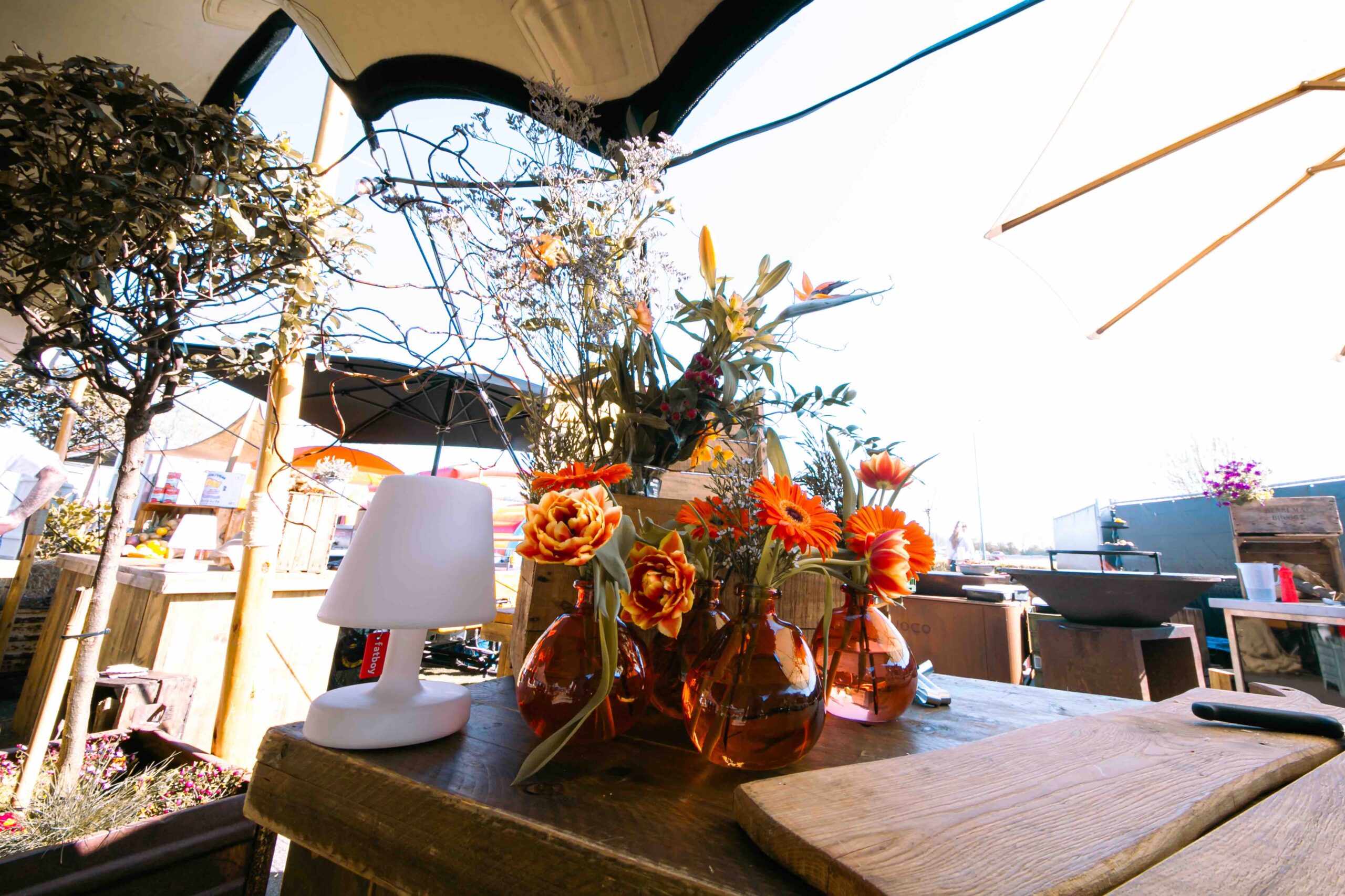 Van Es Catering & Partyverhuur — foto 5