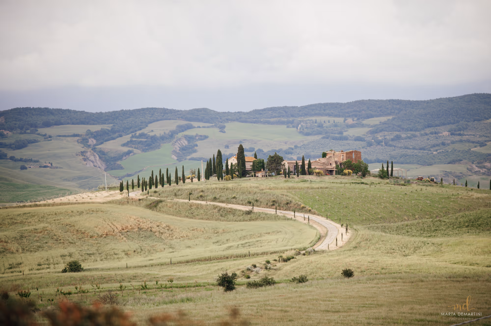 The Italian Wedding — photo 2