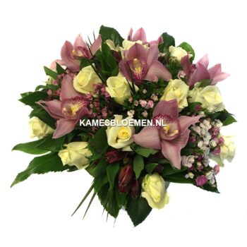 Kames Bloemen — photo 5