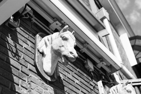 Bar Bistro d'Olde Smidse — photo 5