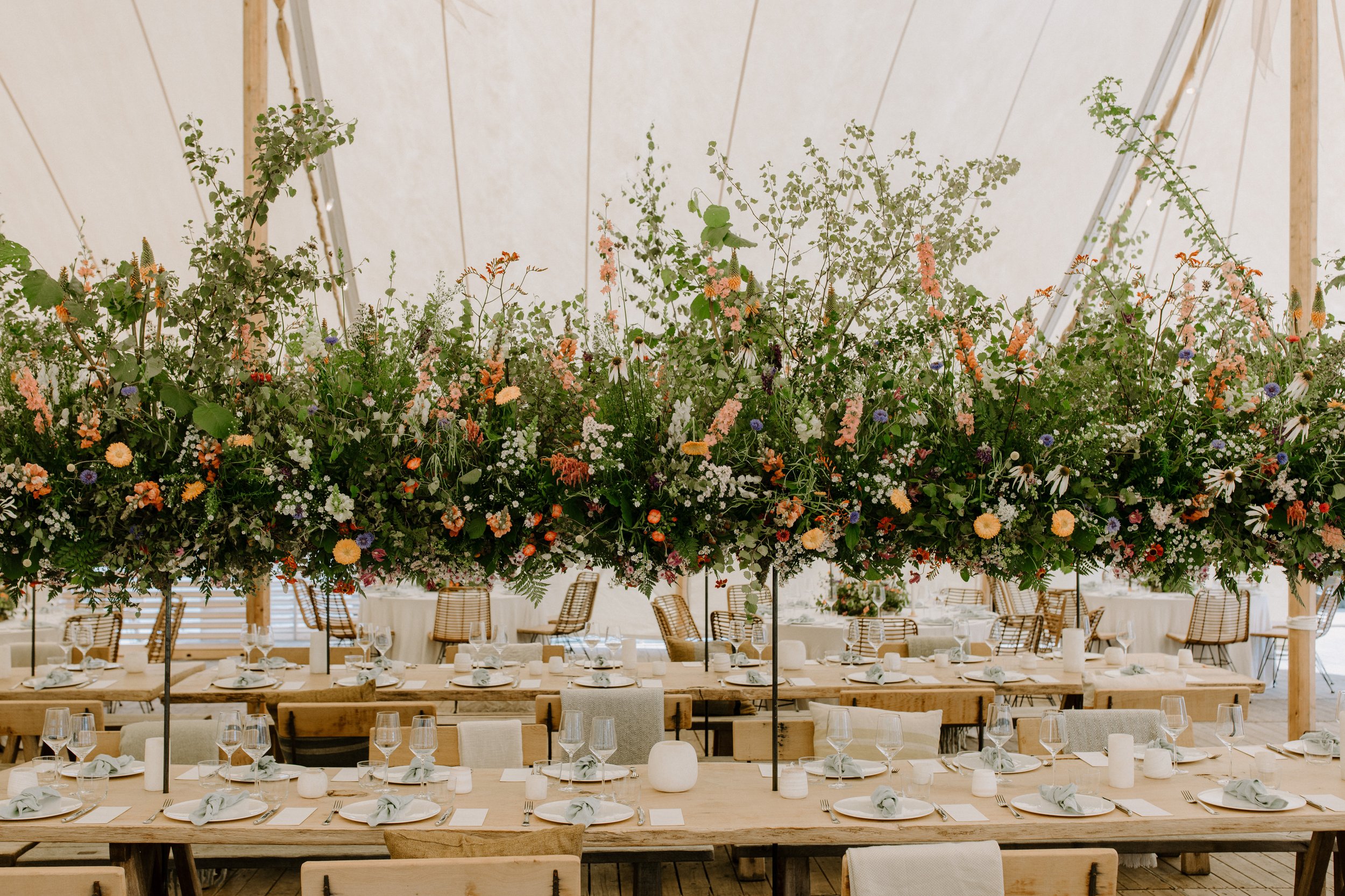 Degroote Bloemen
