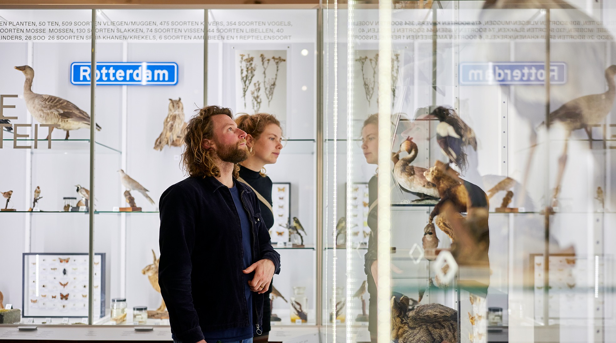 Natuurhistorisch Museum Rotterdam — photo 2