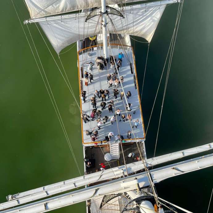 Stedemaeght - Harlingen — photo 4