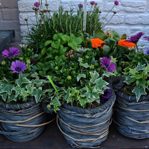 Floral Design — photo 3