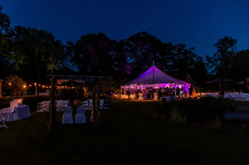 Steggink Events — photo 2