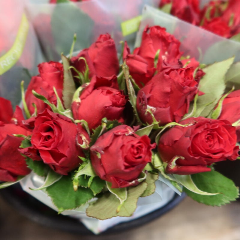 DFM bloemen