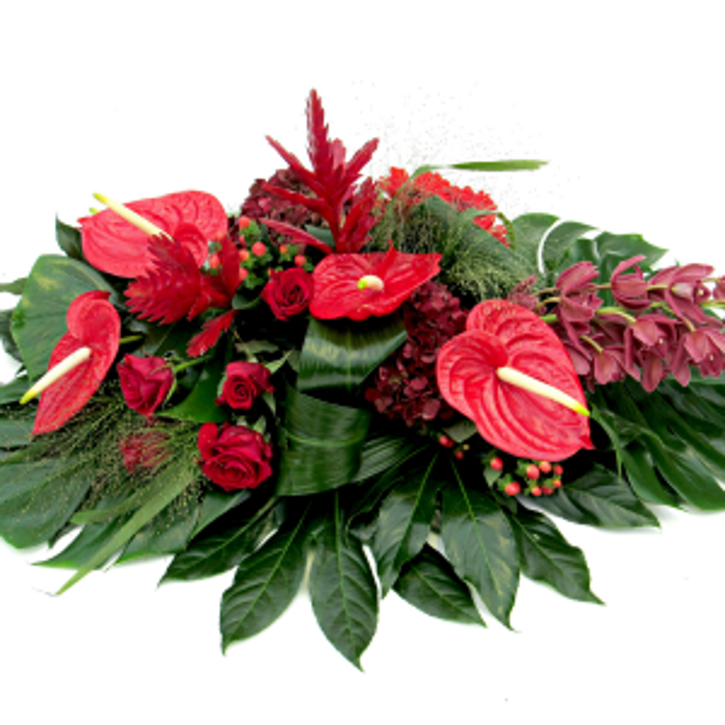 DFM bloemen — photo 2