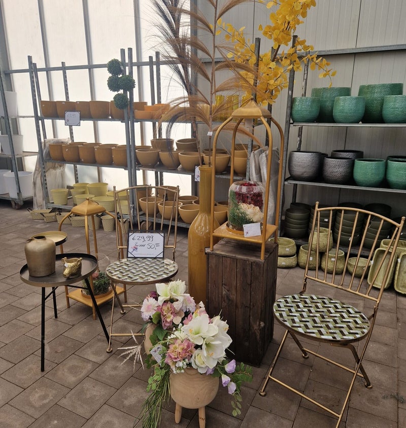 DFM bloemen — photo 4