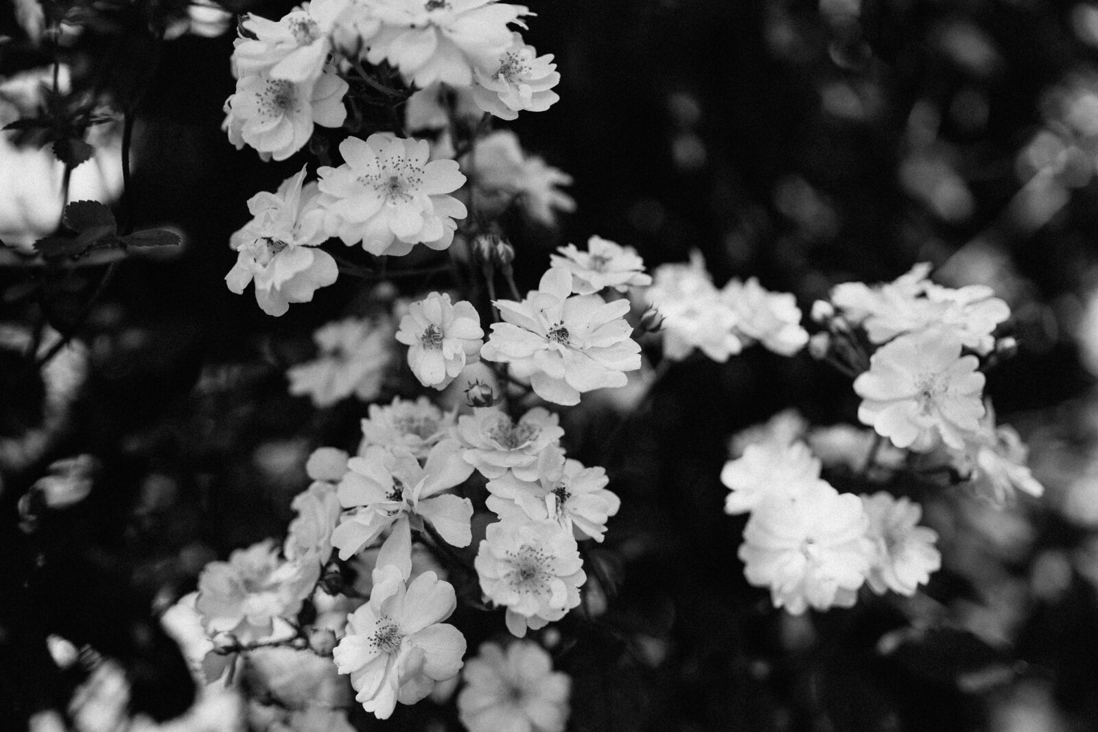 Quay Photography