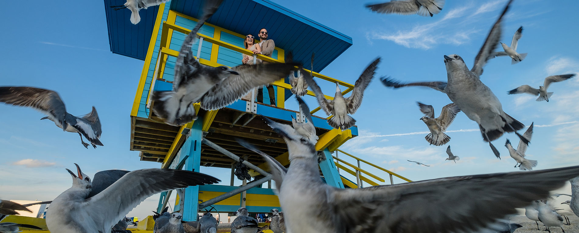 Felipe Figueroa Photography & Video — photo 2