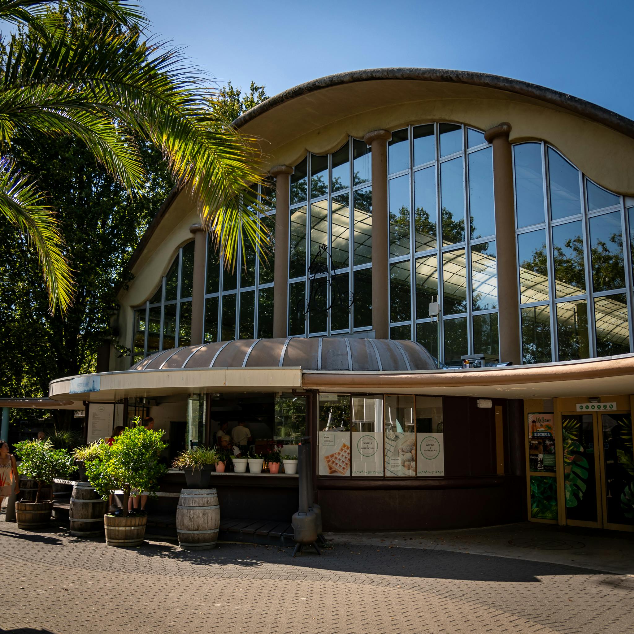 De Flamingo's — foto 4