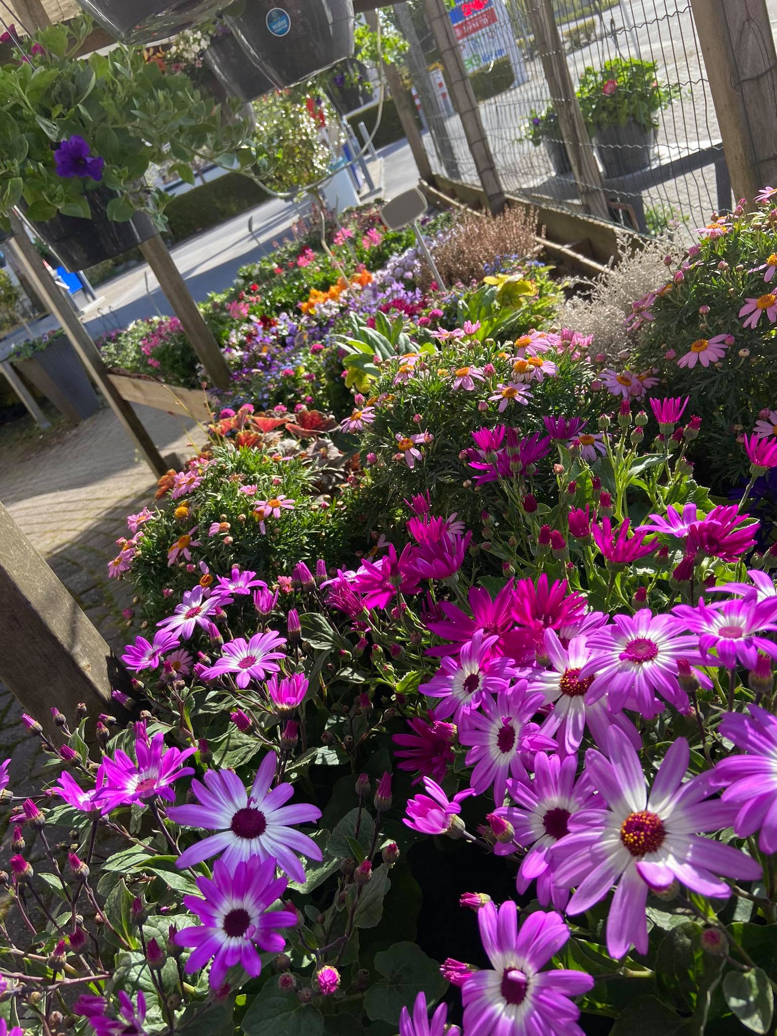 Jessica's Bloemenboetiek — photo 2