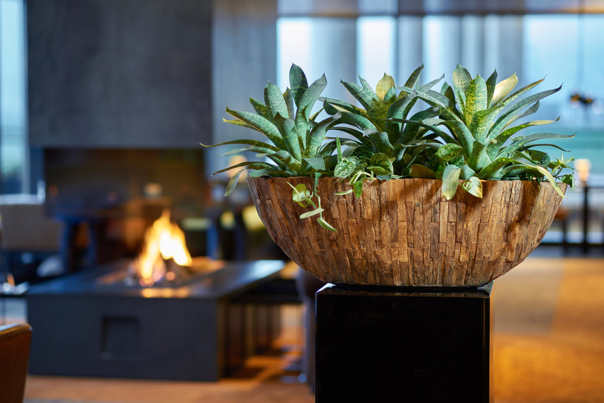 Bloemisten Flora-Inn — photo 3