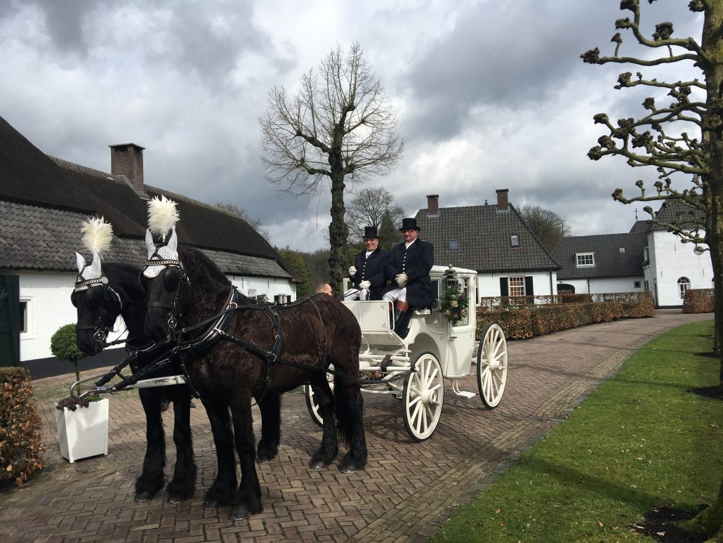 Stalhouderij Hans Joosen — photo 5