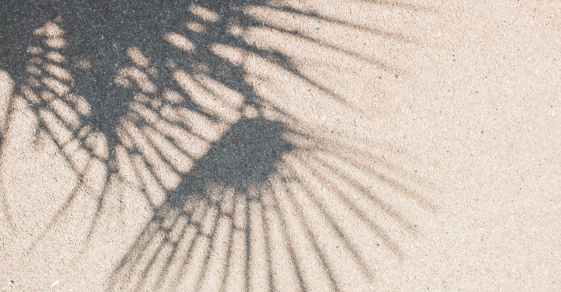 Strandpaviljoen Fosfor — photo 2