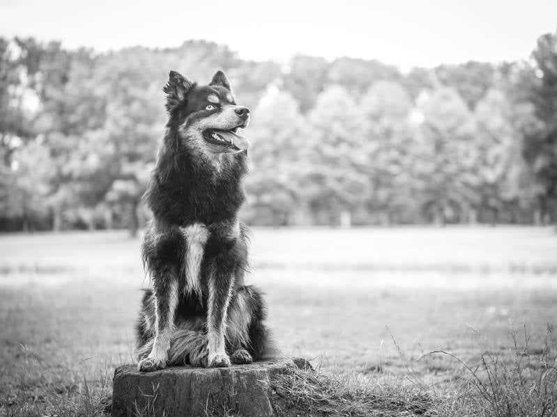 Yuri Derks Fotografie — photo 5