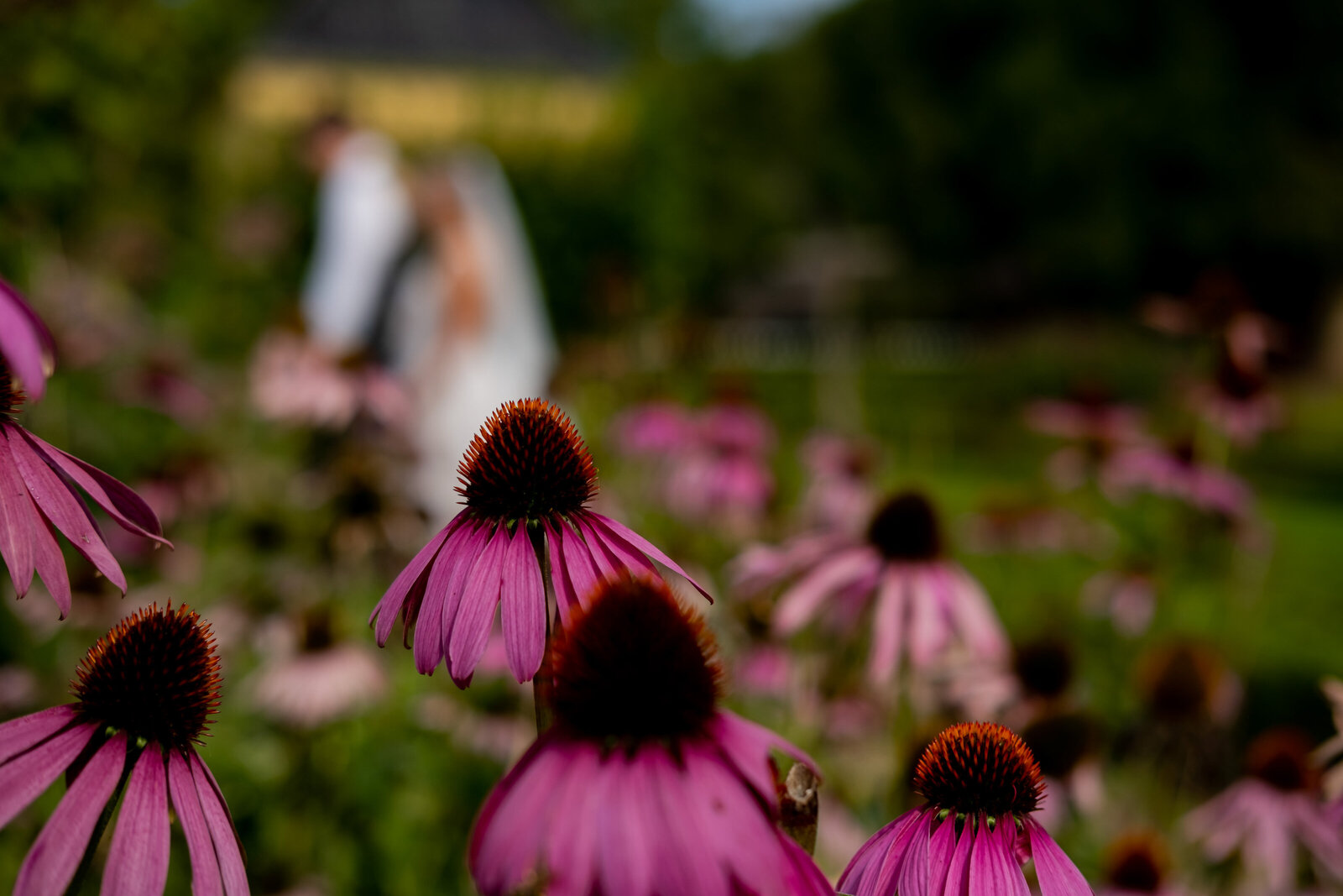 What A Glorious Feeling — photo 2