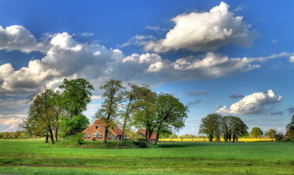 Erve Hondeborg — foto 3