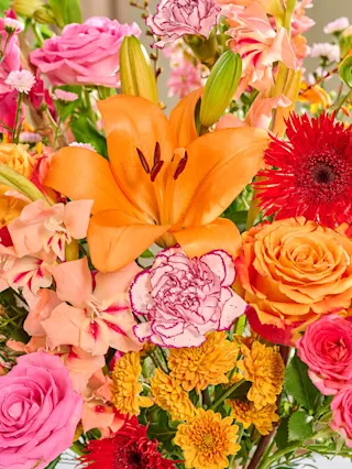 Bloomon — photo 3