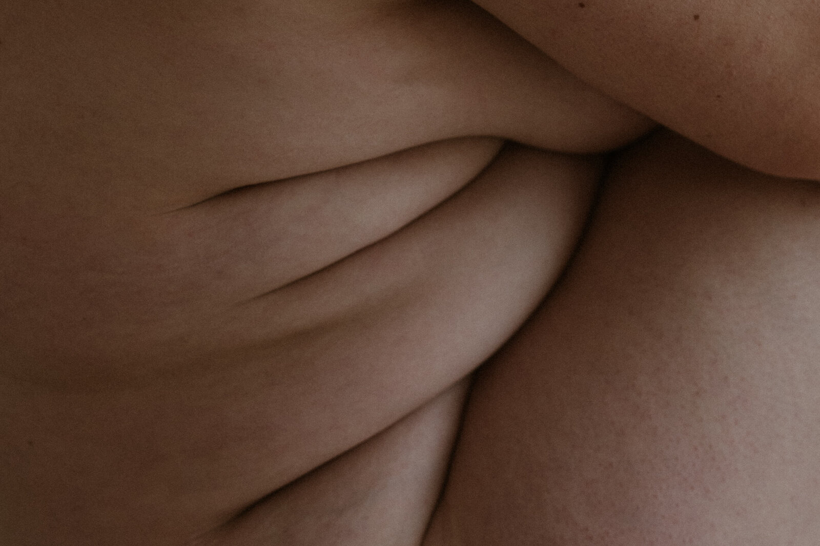 Stefanie Dewel Photography — photo 3
