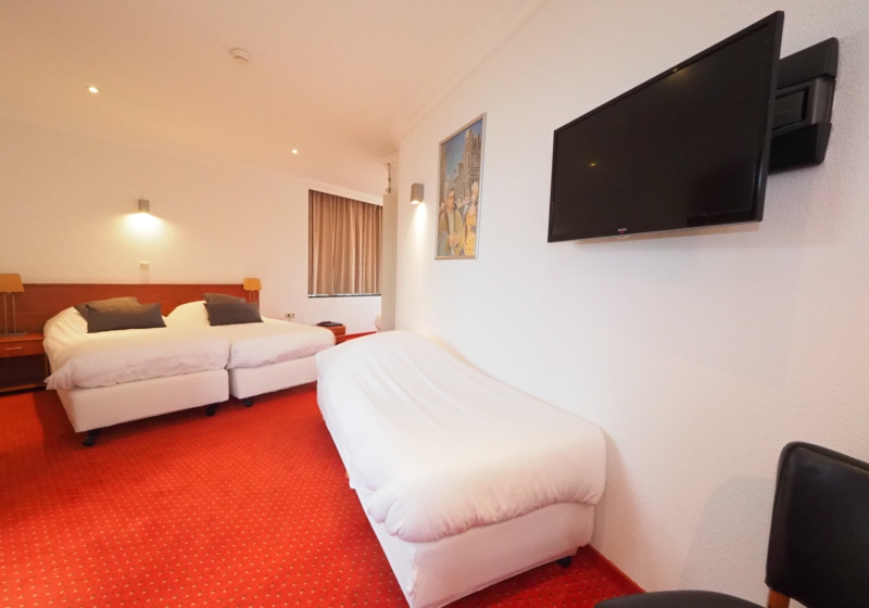 Amicitia Hotel — foto 4