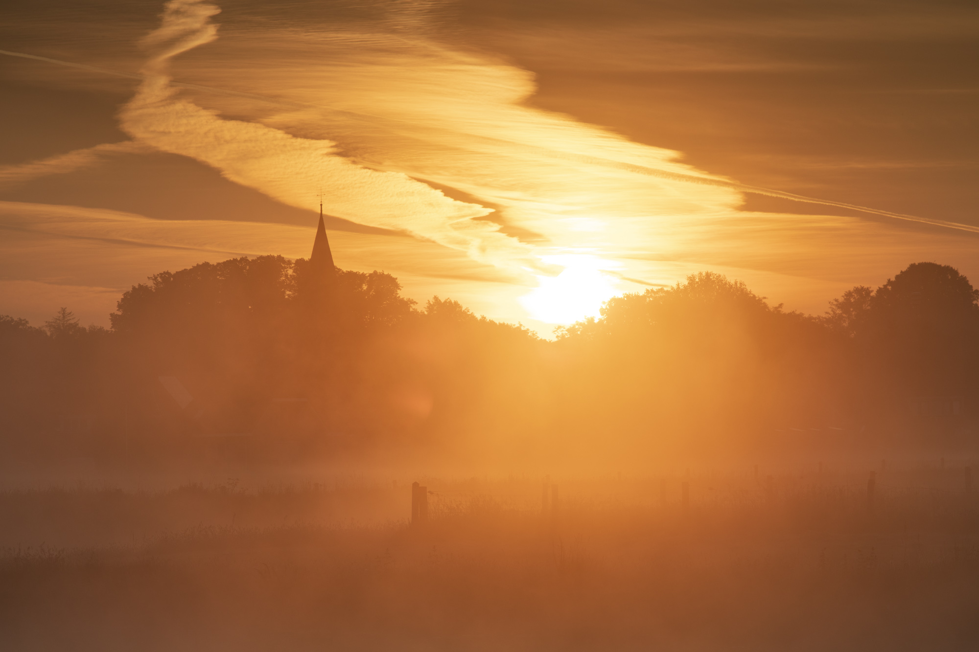 Joost Wiltink fotografie — photo 2