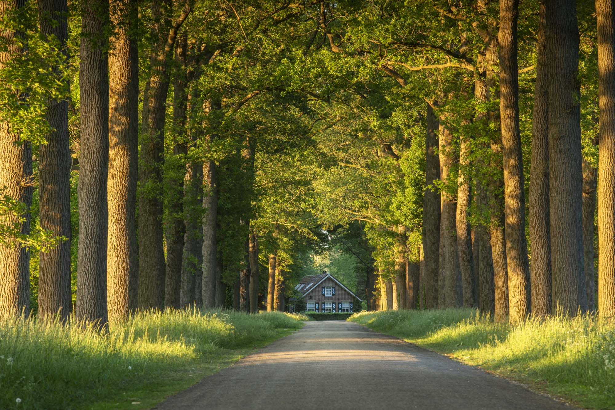 Joost Wiltink fotografie — photo 3