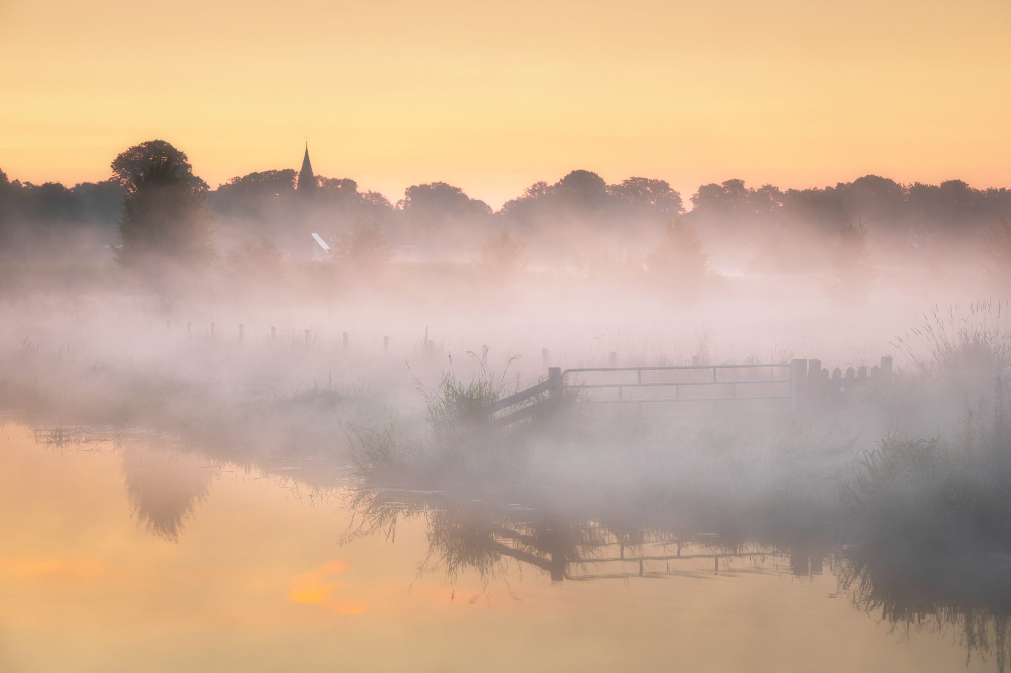 Joost Wiltink fotografie — photo 4