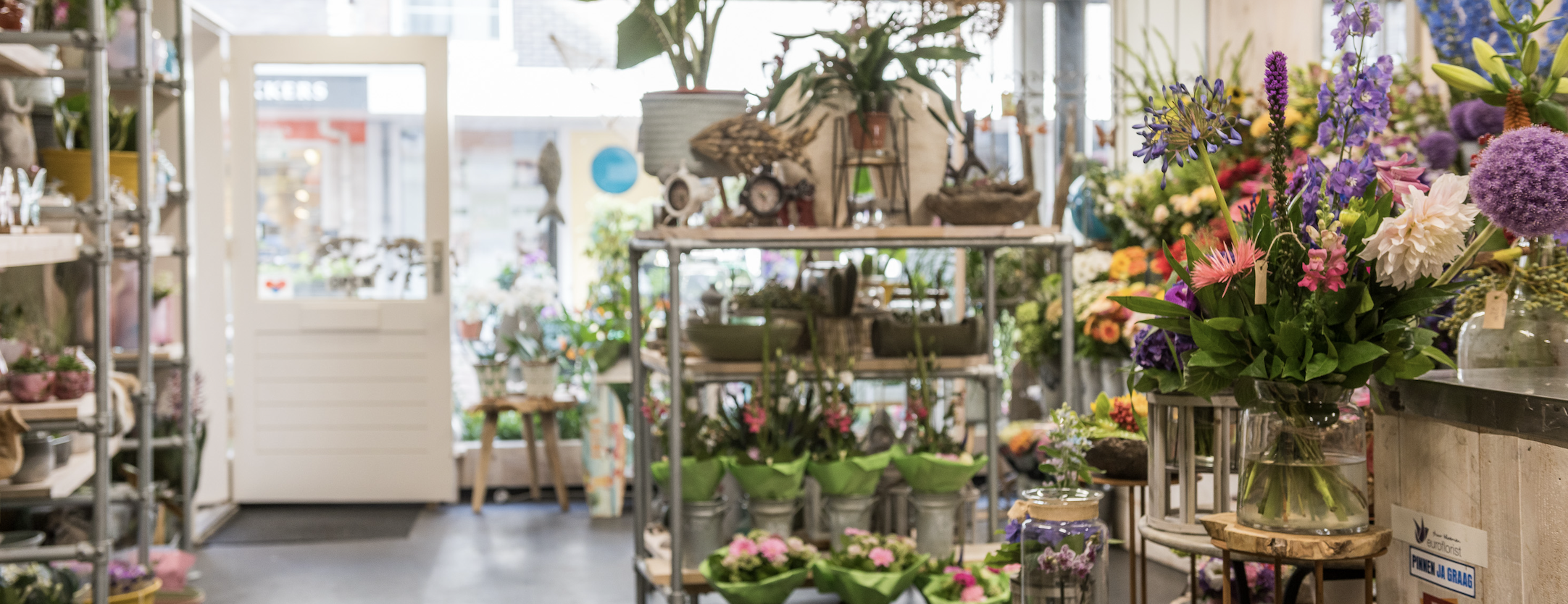 Moois van Bloemen