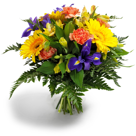 Moois van Bloemen — photo 4