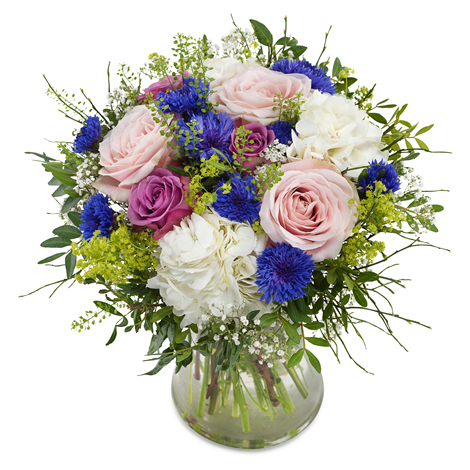 Moois van Bloemen — photo 5