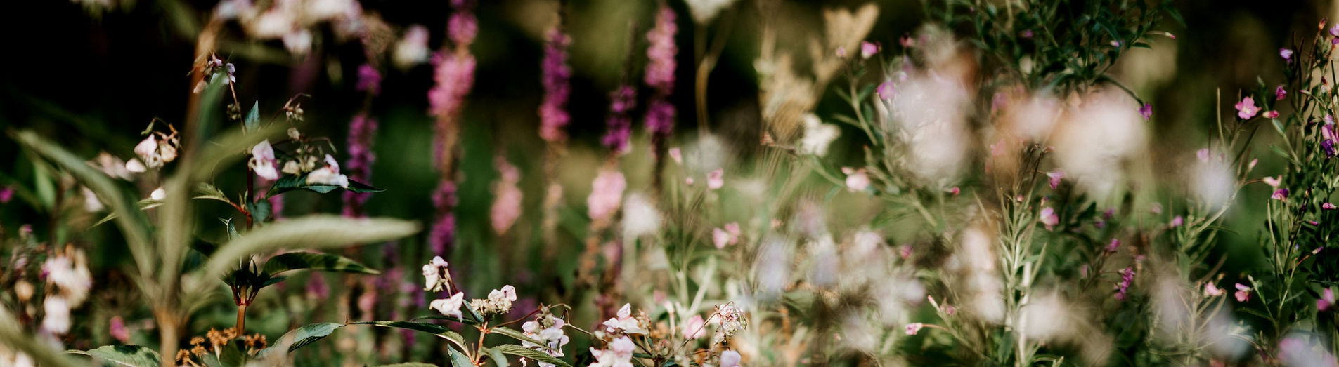 Gout Bloemen bij Nina