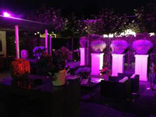 Betuwe Events — photo 2