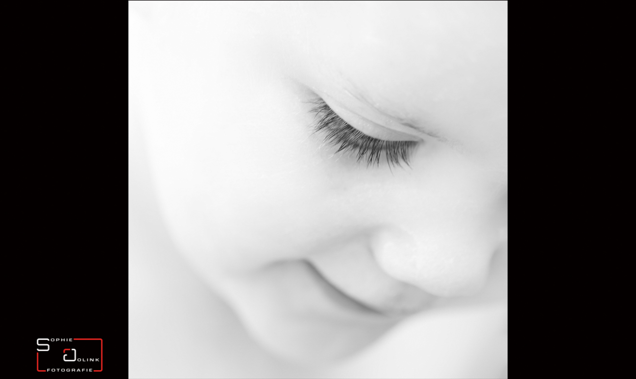 Sophie Jolink Fotografie — photo 2