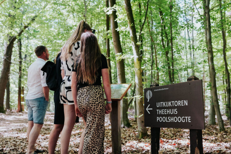 Vlintenholt — photo 3