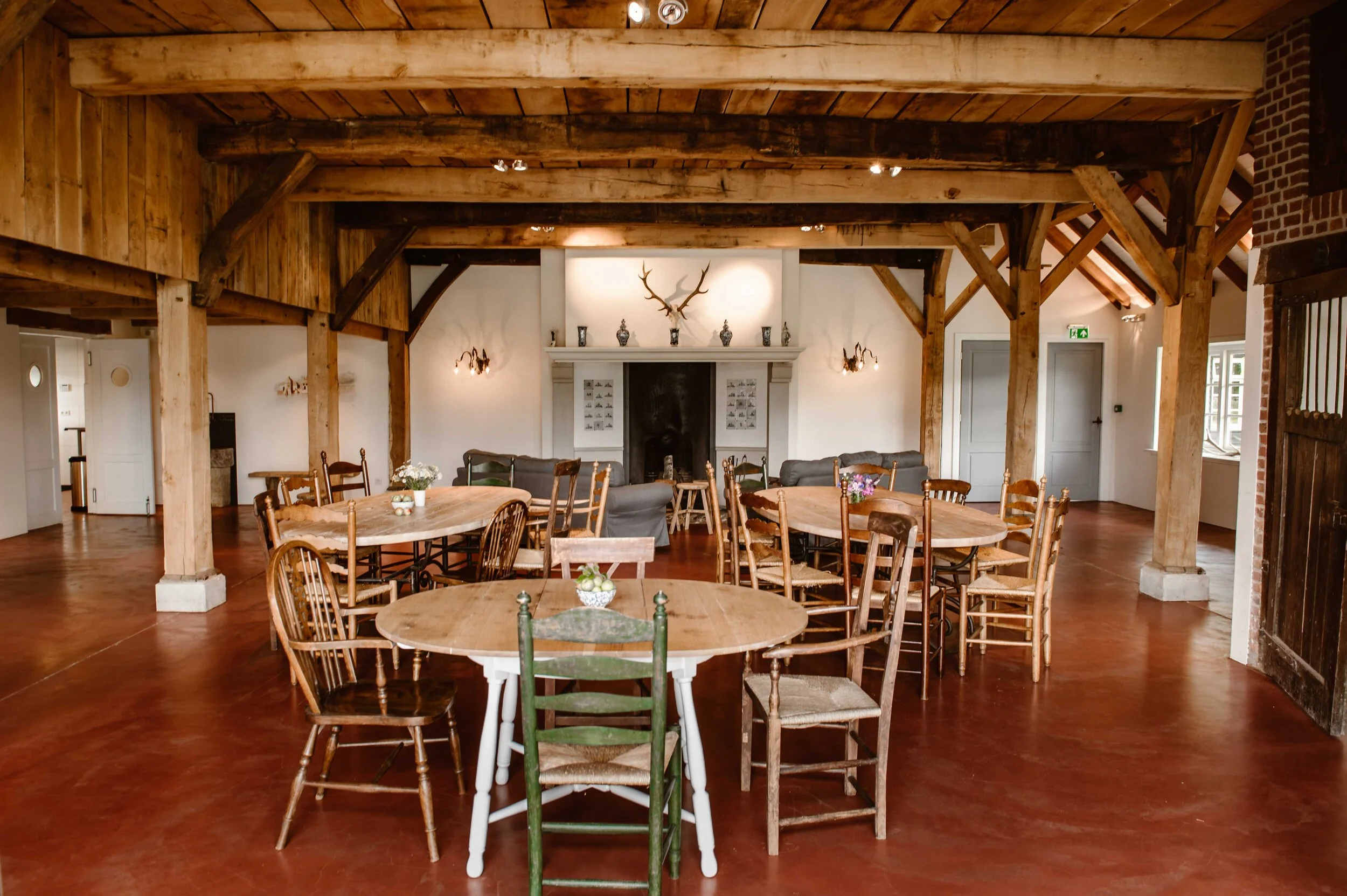 Hof te Boekelo - Traditional Herefords — photo 3