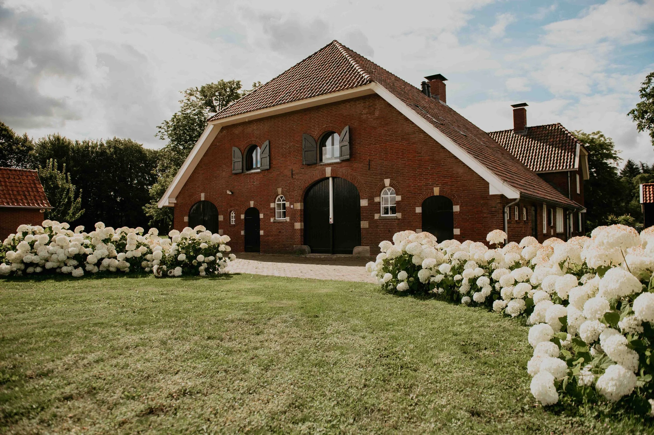 Hof te Boekelo - Traditional Herefords — photo 5