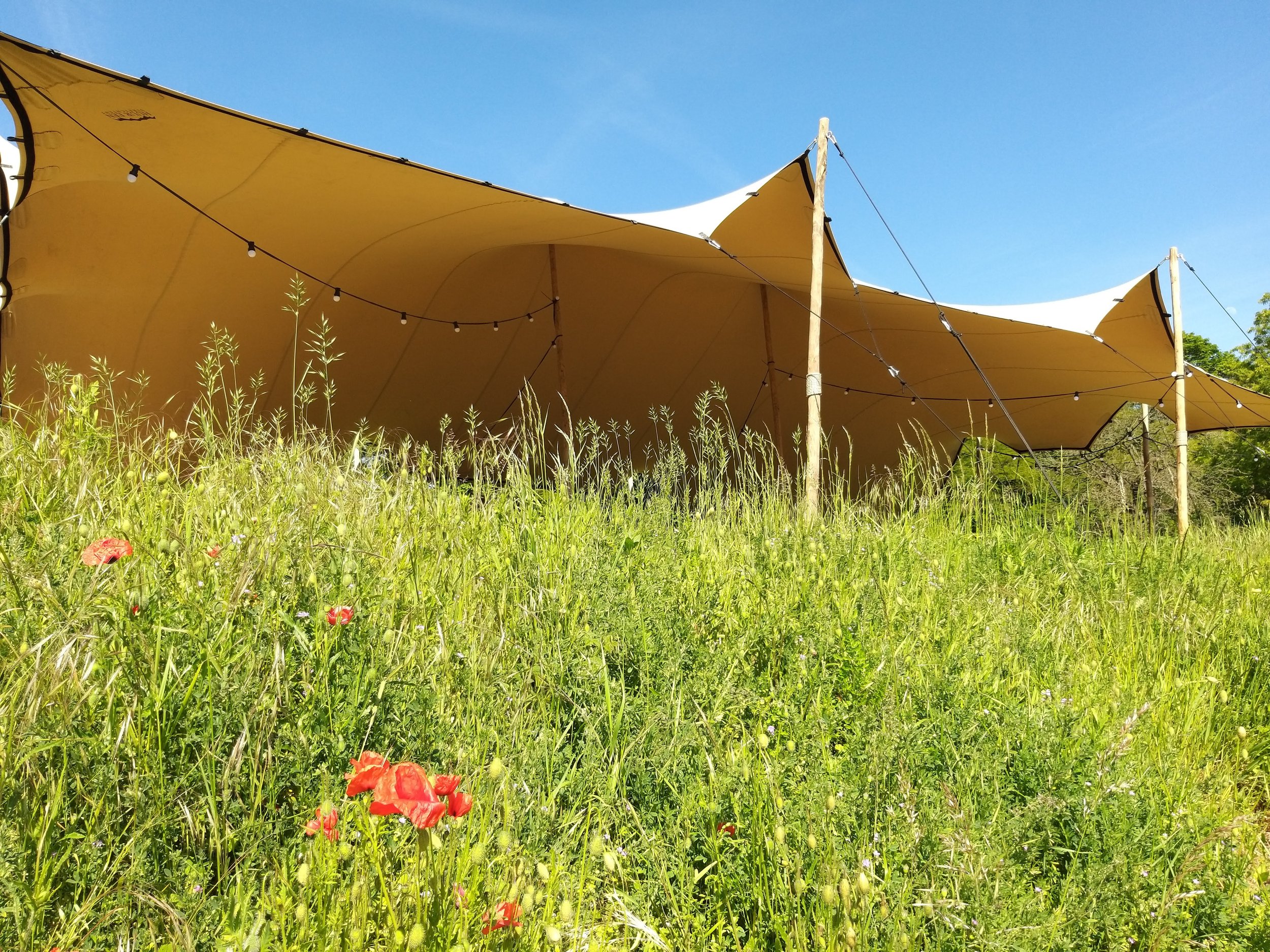 TIPI Solutions