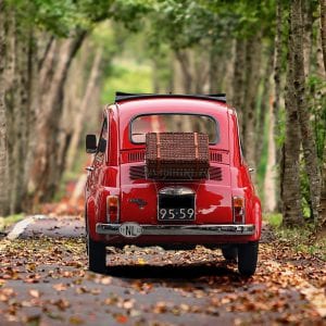 VW Love Bugs — photo 3