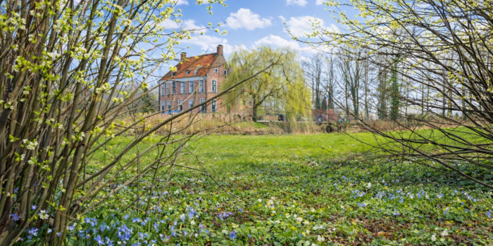 Burcht Wedde — photo 4