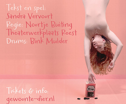 Theaterwerkplaats Roest — foto 2