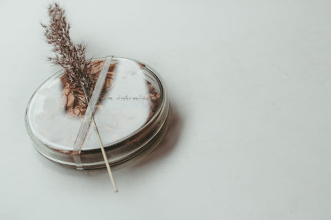 Eva Schreuder Ontwerpen — photo 5